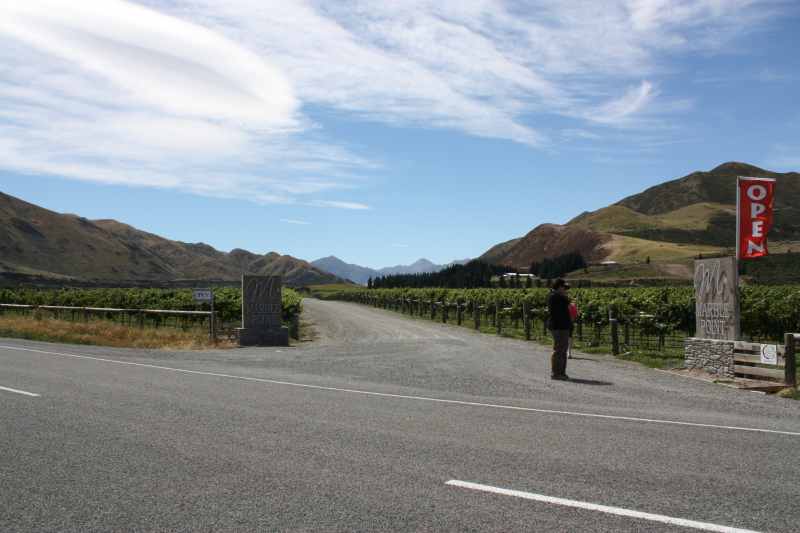 Nieuw-Zeeland 2011 - 1279